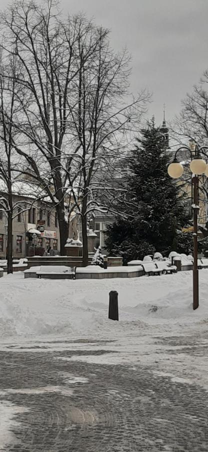 Lovecky Apartman Na Namesti Ve Frenstate Pod Radhostem Frenštát pod Radhoštěm المظهر الخارجي الصورة